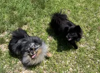 processed/19f7ed97-56fc-4afe-8587-d96a46c1f7e5/facility/c5766e83-6ddf-4c6c-b05f-e6f808d27ec3