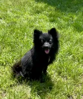 processed/19f7ed97-56fc-4afe-8587-d96a46c1f7e5/facility/cb758b17-f899-465a-9980-da2a36a21d45