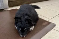 processed/19f7ed97-56fc-4afe-8587-d96a46c1f7e5/listing/0f7ba630-42a7-4864-a828-40e9d4ff8eb4/0c2cec25-b301-4b14-94e1-8c6f14bc7d2f