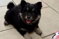 processed/19f7ed97-56fc-4afe-8587-d96a46c1f7e5/listing/0f7ba630-42a7-4864-a828-40e9d4ff8eb4/2e223113-be57-451a-a29a-86580148b7a6