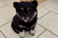 processed/19f7ed97-56fc-4afe-8587-d96a46c1f7e5/listing/0f7ba630-42a7-4864-a828-40e9d4ff8eb4/55e6ceba-82fc-4999-8167-b299eaab1b44