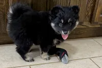 processed/19f7ed97-56fc-4afe-8587-d96a46c1f7e5/listing/0f7ba630-42a7-4864-a828-40e9d4ff8eb4/79a3e374-02eb-4994-95ad-c2c68774899b