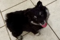 processed/19f7ed97-56fc-4afe-8587-d96a46c1f7e5/listing/0f7ba630-42a7-4864-a828-40e9d4ff8eb4/c3539445-7611-4f0c-8070-9c8c70611598