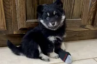 processed/19f7ed97-56fc-4afe-8587-d96a46c1f7e5/listing/0f7ba630-42a7-4864-a828-40e9d4ff8eb4/dc6bebd1-899a-41d1-a182-a81783e9b6f4