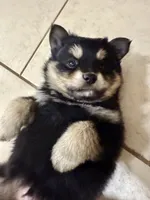 processed/19f7ed97-56fc-4afe-8587-d96a46c1f7e5/listing/b0213800-fc20-4bdb-9370-7fb3c785cda8/0893e971-99ce-4223-a14a-6553c2f30068