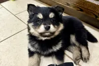 processed/19f7ed97-56fc-4afe-8587-d96a46c1f7e5/listing/b0213800-fc20-4bdb-9370-7fb3c785cda8/27f78952-e825-462d-a664-1e31e316be1c