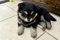 processed/19f7ed97-56fc-4afe-8587-d96a46c1f7e5/listing/b0213800-fc20-4bdb-9370-7fb3c785cda8/2c97fefe-4dcc-4197-80ff-4a89a0ba7e0a