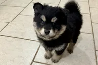 processed/19f7ed97-56fc-4afe-8587-d96a46c1f7e5/listing/b0213800-fc20-4bdb-9370-7fb3c785cda8/64e99268-f871-49ee-8e09-191281b1744c