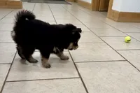 processed/19f7ed97-56fc-4afe-8587-d96a46c1f7e5/listing/b0213800-fc20-4bdb-9370-7fb3c785cda8/a4c5d5df-0ab6-40a5-aac8-b059af92616c