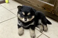 processed/19f7ed97-56fc-4afe-8587-d96a46c1f7e5/listing/b0213800-fc20-4bdb-9370-7fb3c785cda8/dcbc95e5-2ee0-4e57-9a9c-15bb958e1071