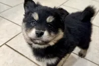 processed/19f7ed97-56fc-4afe-8587-d96a46c1f7e5/listing/b0213800-fc20-4bdb-9370-7fb3c785cda8/f2648c55-c9ef-4edf-bc9b-d9daaa12cfa3