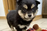 processed/19f7ed97-56fc-4afe-8587-d96a46c1f7e5/listing/dd6a9a96-b047-4b70-a51c-6e27f51c598c/430f7bdd-8825-4ab1-ac97-d70e7e7a478f