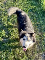 processed/19f7ed97-56fc-4afe-8587-d96a46c1f7e5/listing/dd6a9a96-b047-4b70-a51c-6e27f51c598c/43d6b1db-73ef-4acd-84d1-fa7b6897c855