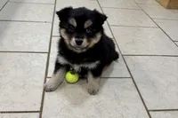 processed/19f7ed97-56fc-4afe-8587-d96a46c1f7e5/listing/dd6a9a96-b047-4b70-a51c-6e27f51c598c/9739d619-d0a3-4328-86ca-459086bd47ce