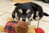 processed/19f7ed97-56fc-4afe-8587-d96a46c1f7e5/listing/dd6a9a96-b047-4b70-a51c-6e27f51c598c/d204274b-67fd-43aa-9454-e4e1481544e6