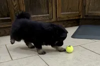 processed/19f7ed97-56fc-4afe-8587-d96a46c1f7e5/listing/ec638798-056b-4e98-b83d-ffe46e6b82fa/0d7cb1c9-9bac-47d5-b3bc-cc4d57dd9059