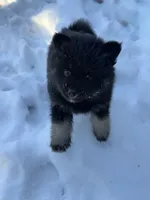 processed/19f7ed97-56fc-4afe-8587-d96a46c1f7e5/listing/ec638798-056b-4e98-b83d-ffe46e6b82fa/15573cdc-196d-460f-9e95-fae434328c8d