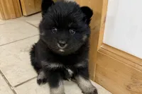 processed/19f7ed97-56fc-4afe-8587-d96a46c1f7e5/listing/ec638798-056b-4e98-b83d-ffe46e6b82fa/418637be-445f-41e1-9356-c23b87f950b6