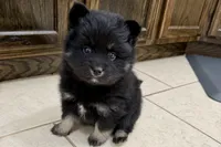 processed/19f7ed97-56fc-4afe-8587-d96a46c1f7e5/listing/ec638798-056b-4e98-b83d-ffe46e6b82fa/aa90c7ea-6d7a-48f7-9783-2290b1b046eb