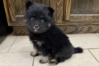 processed/19f7ed97-56fc-4afe-8587-d96a46c1f7e5/listing/ec638798-056b-4e98-b83d-ffe46e6b82fa/cdede670-9dcd-4f42-ab2b-5d92b3e0b1dc