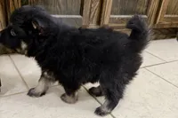 processed/19f7ed97-56fc-4afe-8587-d96a46c1f7e5/listing/ec638798-056b-4e98-b83d-ffe46e6b82fa/f63e8730-2cc0-4186-bdcb-f426942afdf6