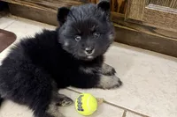 processed/19f7ed97-56fc-4afe-8587-d96a46c1f7e5/listing/ec638798-056b-4e98-b83d-ffe46e6b82fa/fc392710-b929-43b2-b54a-72d442cb4585