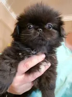 processed/1a038d53-8e63-43e4-8f2b-7368f51f7fef/listing/1fe59ee3-f25f-49f7-b09b-7c247b139634/2e5a7187-3b69-41dc-b7e2-388b0a7ad682