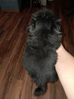 processed/1a038d53-8e63-43e4-8f2b-7368f51f7fef/listing/1fe59ee3-f25f-49f7-b09b-7c247b139634/a85e3eb0-7f41-45cf-b7eb-ce2f70e6ba11