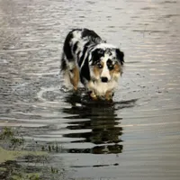 processed/1a0c54f3-cf9e-45c9-ad72-b18cdc9a7753/facility/65455e2e-3ded-4398-84a3-04a9e0b5cc45