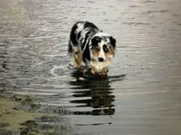 processed/1a0c54f3-cf9e-45c9-ad72-b18cdc9a7753/facility/65455e2e-3ded-4398-84a3-04a9e0b5cc45