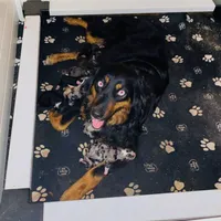 processed/1a0c54f3-cf9e-45c9-ad72-b18cdc9a7753/facility/b5e81213-1553-4ef3-a8fd-0db5e9cb6b2c