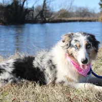 processed/1a0c54f3-cf9e-45c9-ad72-b18cdc9a7753/facility/e85455a3-e4f9-446c-948c-aa1bd8d6b8d8