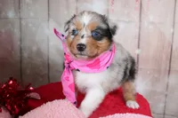 processed/1a0c54f3-cf9e-45c9-ad72-b18cdc9a7753/listing/016f809f-e182-4fbb-8b93-1fb9db462704/339e2522-cab2-495e-a4e2-93a4f0c91051