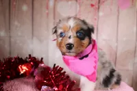 processed/1a0c54f3-cf9e-45c9-ad72-b18cdc9a7753/listing/016f809f-e182-4fbb-8b93-1fb9db462704/53935e9d-c178-47f0-ad56-9b33a73998cf