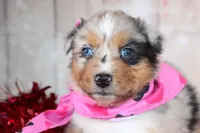 processed/1a0c54f3-cf9e-45c9-ad72-b18cdc9a7753/listing/016f809f-e182-4fbb-8b93-1fb9db462704/7af4206d-766a-4144-84fe-b26629be3448