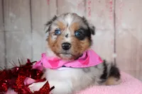 processed/1a0c54f3-cf9e-45c9-ad72-b18cdc9a7753/listing/016f809f-e182-4fbb-8b93-1fb9db462704/86c5ec92-8404-445a-83ed-2b90e8f7d07e