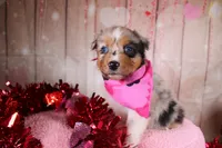 processed/1a0c54f3-cf9e-45c9-ad72-b18cdc9a7753/listing/016f809f-e182-4fbb-8b93-1fb9db462704/8b4ca7f1-cc6c-4722-a0ca-a1bccc8035ea