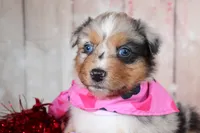 processed/1a0c54f3-cf9e-45c9-ad72-b18cdc9a7753/listing/016f809f-e182-4fbb-8b93-1fb9db462704/8df1f028-6c9c-4776-bd1c-ccf8f6c094a8