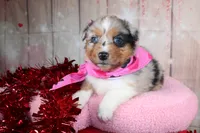 processed/1a0c54f3-cf9e-45c9-ad72-b18cdc9a7753/listing/016f809f-e182-4fbb-8b93-1fb9db462704/97d85964-1de6-4df2-9bf7-89b20c8d1467