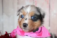 processed/1a0c54f3-cf9e-45c9-ad72-b18cdc9a7753/listing/016f809f-e182-4fbb-8b93-1fb9db462704/f4805c27-4eac-42a4-90cf-691107e263e8