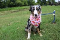 processed/1a0c54f3-cf9e-45c9-ad72-b18cdc9a7753/listing/09bdecb2-a85d-41fa-b50f-7cc55f2d4cf8/46d2c3c2-b97b-459f-b8d3-5e7e0ee418d5