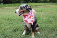 processed/1a0c54f3-cf9e-45c9-ad72-b18cdc9a7753/listing/09bdecb2-a85d-41fa-b50f-7cc55f2d4cf8/575034cb-1ec5-4119-be53-9bb6ea464612