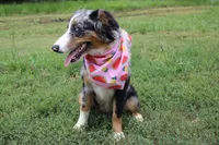 processed/1a0c54f3-cf9e-45c9-ad72-b18cdc9a7753/listing/09bdecb2-a85d-41fa-b50f-7cc55f2d4cf8/9bb048a2-8973-4f2f-8b03-82dcf29b0f5d