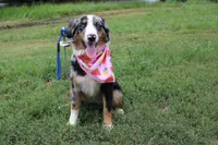 processed/1a0c54f3-cf9e-45c9-ad72-b18cdc9a7753/listing/09bdecb2-a85d-41fa-b50f-7cc55f2d4cf8/a6b8fe77-3da6-4fab-b7e9-f37c1d2d45ca