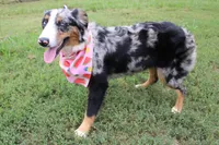 processed/1a0c54f3-cf9e-45c9-ad72-b18cdc9a7753/listing/09bdecb2-a85d-41fa-b50f-7cc55f2d4cf8/e85e80aa-9468-41f8-b4a0-170c72b72be9