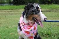 processed/1a0c54f3-cf9e-45c9-ad72-b18cdc9a7753/listing/09bdecb2-a85d-41fa-b50f-7cc55f2d4cf8/edeef249-b178-42e3-86dc-7e2d7eefd11e