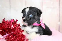 processed/1a0c54f3-cf9e-45c9-ad72-b18cdc9a7753/listing/4e833cf6-1f77-4145-b15b-4b17e3998f87/3d317167-392c-4052-8190-ec9a2dc842b2