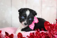 processed/1a0c54f3-cf9e-45c9-ad72-b18cdc9a7753/listing/4e833cf6-1f77-4145-b15b-4b17e3998f87/c3760d17-3259-40d7-8af4-e27d00e61cfc