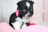 processed/1a0c54f3-cf9e-45c9-ad72-b18cdc9a7753/listing/4e833cf6-1f77-4145-b15b-4b17e3998f87/cf434bbc-bd66-4108-acfe-ca3b52707fb3