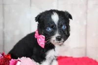 processed/1a0c54f3-cf9e-45c9-ad72-b18cdc9a7753/listing/4e833cf6-1f77-4145-b15b-4b17e3998f87/d218996b-1d6f-4ff8-bbb4-95efd2e8667e